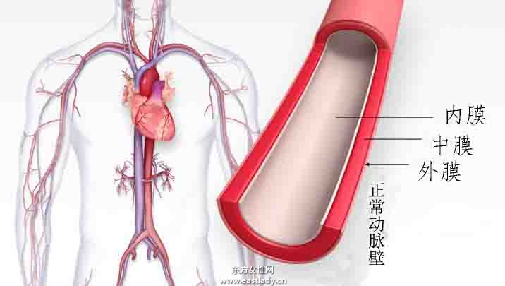 毛細血管破裂是怎么回事 揭秘毛細血管破裂的癥狀
