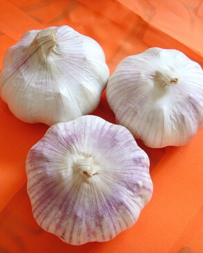 胃癌飲食食譜 預防胃癌必吃的5種食物