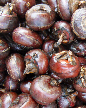 腎結(jié)石怎么辦 腎結(jié)石吃什么好