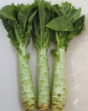 脫發(fā)怎么辦 遠(yuǎn)離脫發(fā)飲食讓你長(zhǎng)頭發(fā)