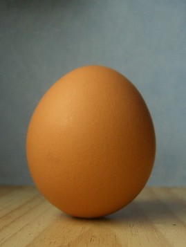 嬰幼兒飲食 嬰幼兒不宜吃過(guò)多的雞蛋