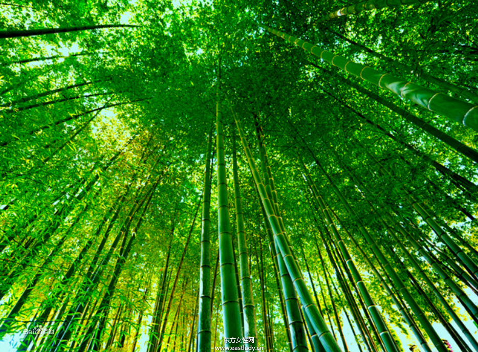 毛細(xì)血管破裂是怎么回事 揭秘毛細(xì)血管破裂的癥狀