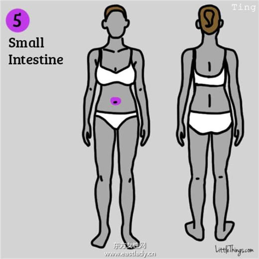 身體九個部位疼痛說明健康在對你發(fā)出危險警告