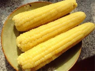 愛吃這十種食物的人 少生病 易長壽