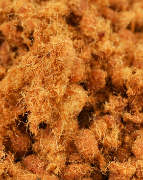 嬰兒肉松 嬰兒可以吃肉松嗎