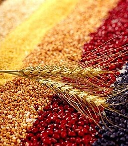 冠心病的注意事項 冠心病的飲食