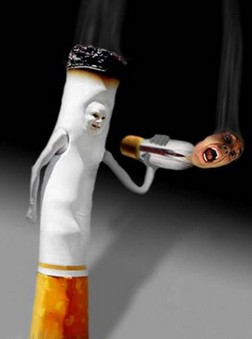 健脾的食物 保養(yǎng)脾臟的最好方法