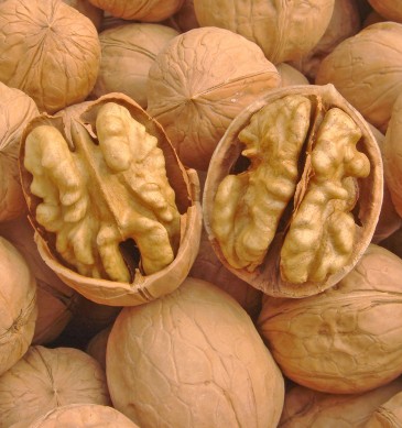 吃什么補腦 九種有助青少年強身健腦的食物