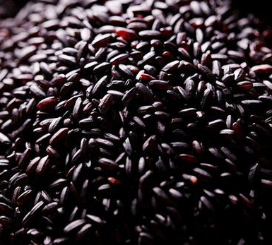 中醫(yī)養(yǎng)生 吃這五種黑色食物可以養(yǎng)腎