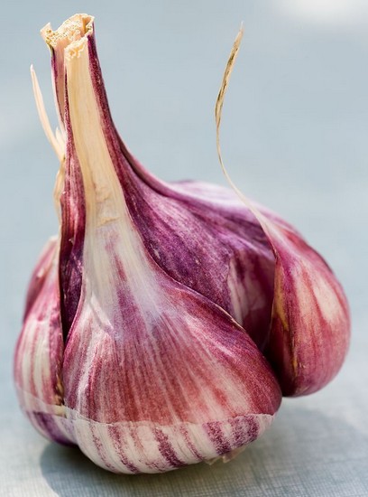 怎樣保護肝臟 保護肝臟必吃8大蔬菜