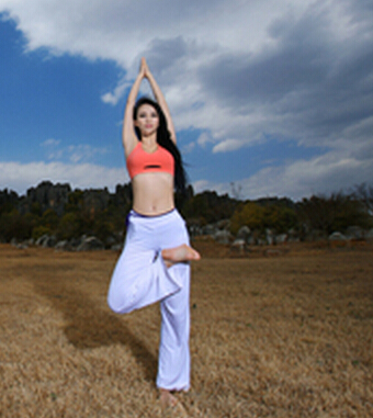 練習瑜伽十招 塑健康脊柱