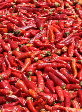 怎樣減肥最快最有效 10個小妙招快速減肥