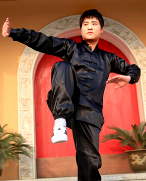 楊氏太極拳 太極的六大功能