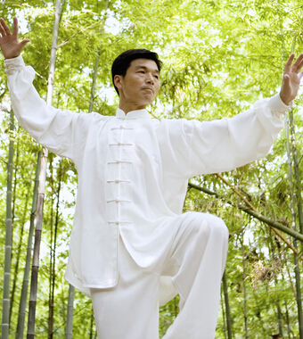 楊氏太極拳 如何學習楊氏太極拳