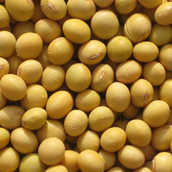 八款另類五谷雜糧養(yǎng)生茶 補血益氣又排毒