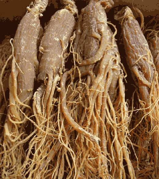 如何補血益氣 補血益氣湯的制作方法