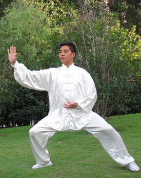 道家功法 太極拳的種類介紹