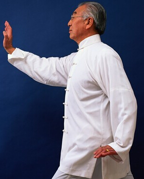 陳式太極拳 陳氏太極拳的訓(xùn)練方法