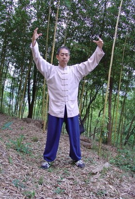 慢性病防治知識(shí) 練習(xí)氣功可以治療慢性病