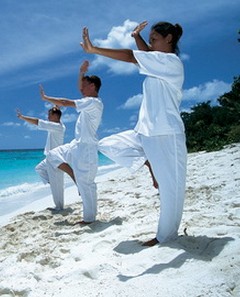 健康養(yǎng)生 氣功治愈疾病還你健康