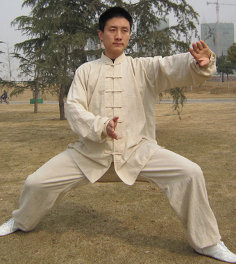 太極拳教程 楊氏太極拳練習(xí)過(guò)程中的階段