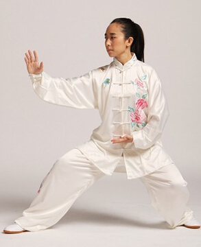 85式楊式太極拳 學(xué)好太極的要點(diǎn)