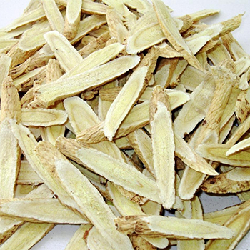 補(bǔ)血益氣禁忌有哪些 服用黃芪注意事項(xiàng)介紹