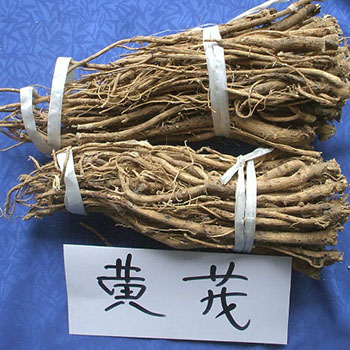 補血益氣良藥黃芪的副作用與食用方法禁忌