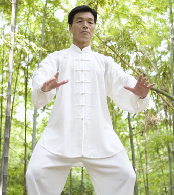 太極拳教學(xué) 學(xué)習(xí)太極拳的方法