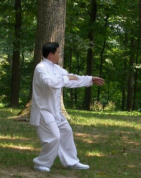 太極拳教程 太極拳對人體各部位姿勢的要求