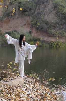 陳式太極拳 陳式太極拳主要招式有哪些