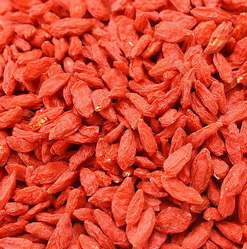 小編推薦 枸杞子吃的好可以壯陽(yáng)