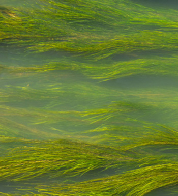 游泳腿抽筋怎么辦 游泳時出現(xiàn)意外如何自救