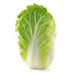 大白菜具有哪些營養(yǎng)價值