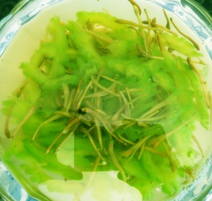 男性疾病的治療 前列腺炎食療治療