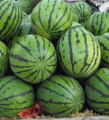 反季節(jié)水果好看不中用 吃反季節(jié)水果謹(jǐn)防激素