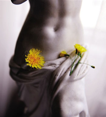 吃煎蛋對卵巢不好 女性保養(yǎng)卵巢應(yīng)該吃什么