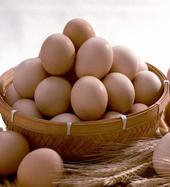 吃雞蛋需要注意什么  吃雞蛋需要注意什么