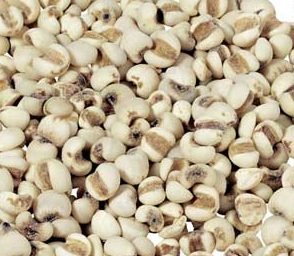 薏米的營養(yǎng)價(jià)值對(duì)老弱病者更為適宜