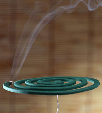 蚊香會(huì)誘發(fā)寶寶哮喘 防蚊還是老三樣靠譜