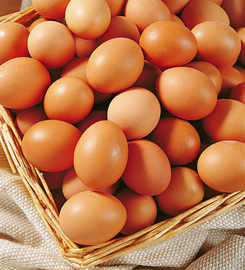 那些你不知道的事 坐車打盹影響心臟功能