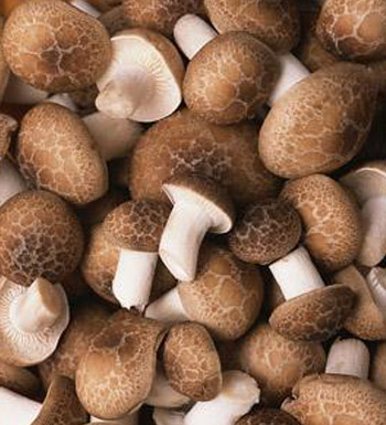 老人高血壓怎么辦 老人血壓高吃什么好