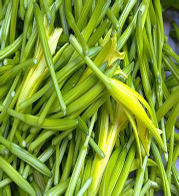 千萬(wàn)不能生吃的食物  生豆?jié){千萬(wàn)不能喝