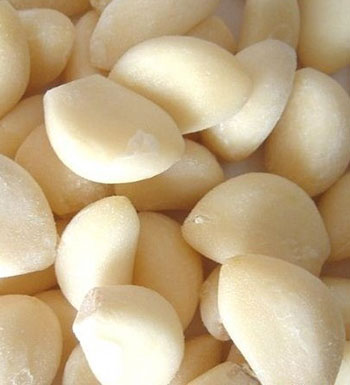 夏季蚊蟲多 戶外爬山怎樣防蚊蟲叮咬