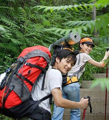 夏季蚊蟲多 戶外爬山怎樣防蚊蟲叮咬