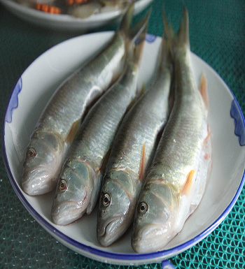 千萬(wàn)不能生吃的食物  生豆?jié){千萬(wàn)不能喝