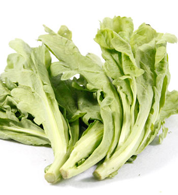 夏季感冒咳嗽怎么辦 夏季止咳化痰的食物