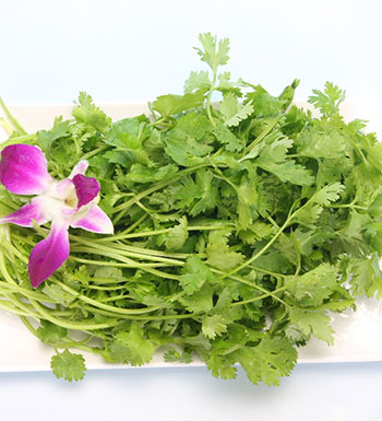 榴蓮可治痛經(jīng) 5種異味食物其實(shí)是至寶