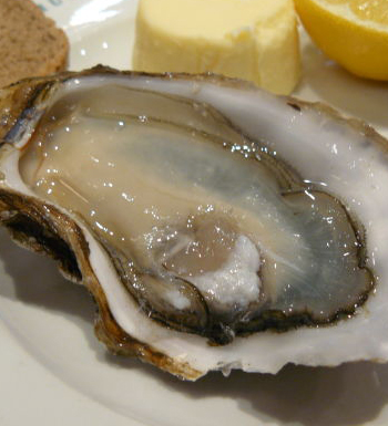 七個壞習(xí)慣宜致男性腎虛 男人腎虛吃什么好