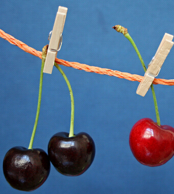 補(bǔ)血吃什么好 4大水果補(bǔ)血養(yǎng)顏遠(yuǎn)離疾病